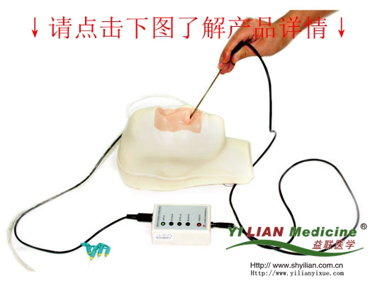 鼻腔出血模型