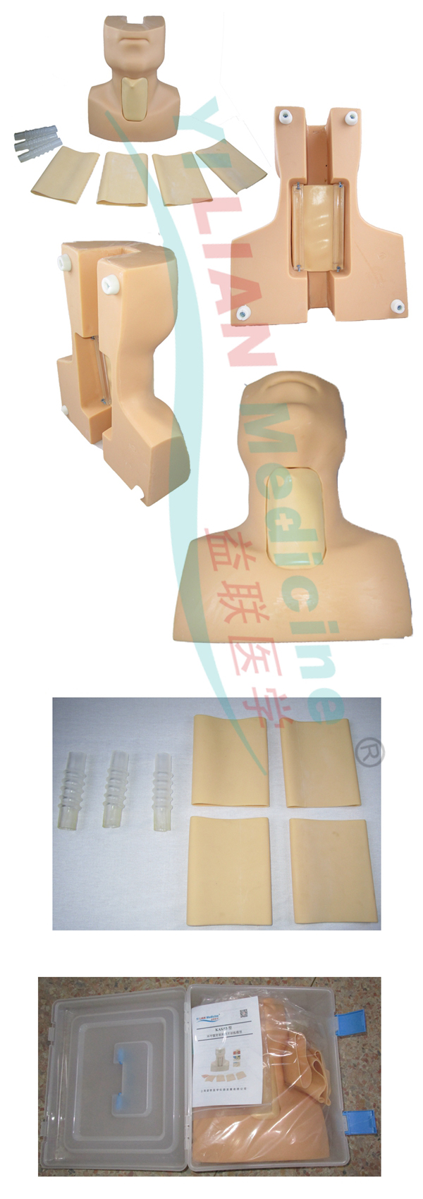 高级环甲膜穿刺及气管切开插管训练模型