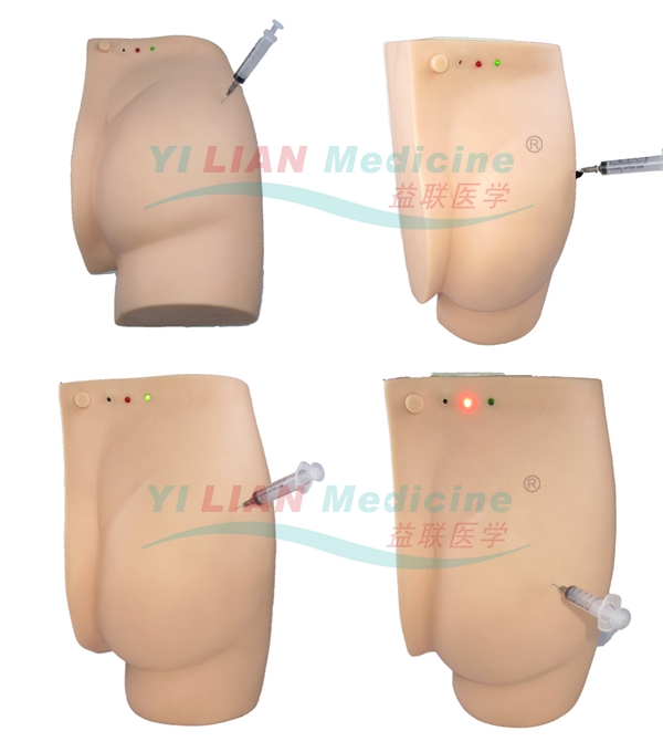 高级电子臀部注射训练模型