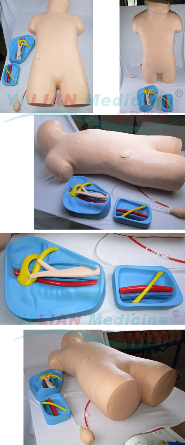 中心静脉注射穿刺躯干训练模型