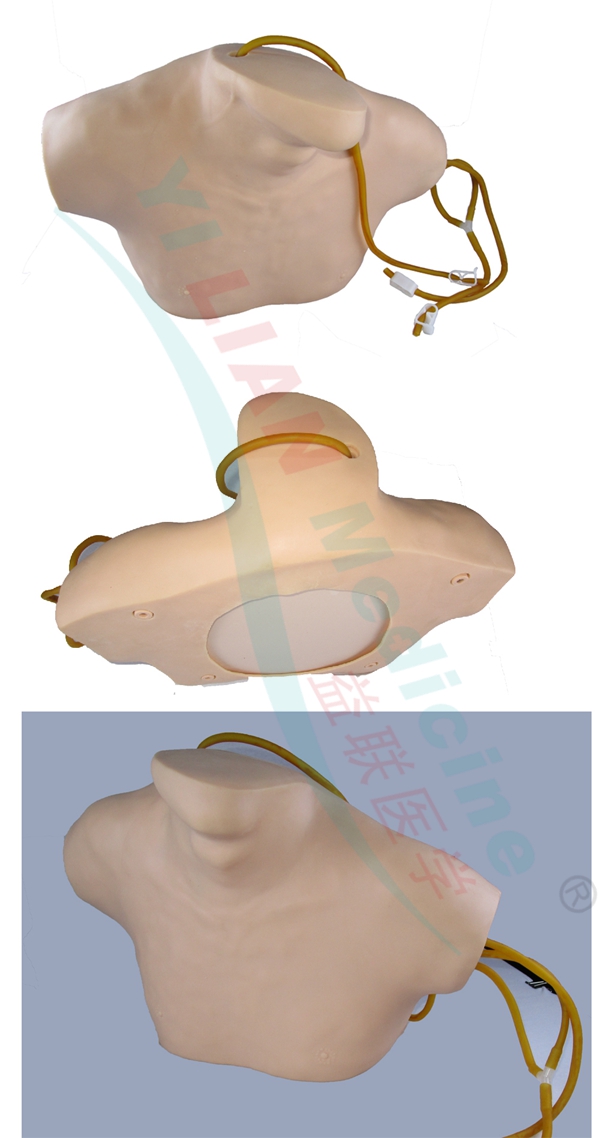 中心静脉穿刺插管模型